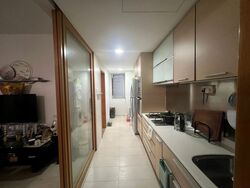 8 @ Mount Sophia (D9), Condominium #441639041